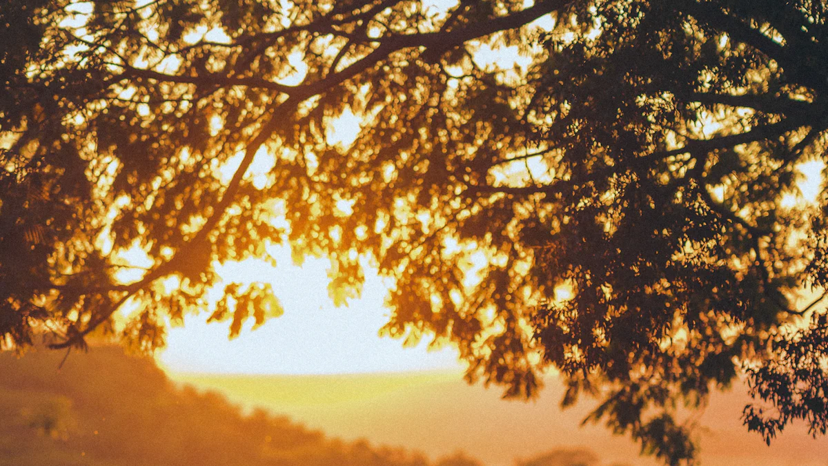 The Beginning of Their Journey