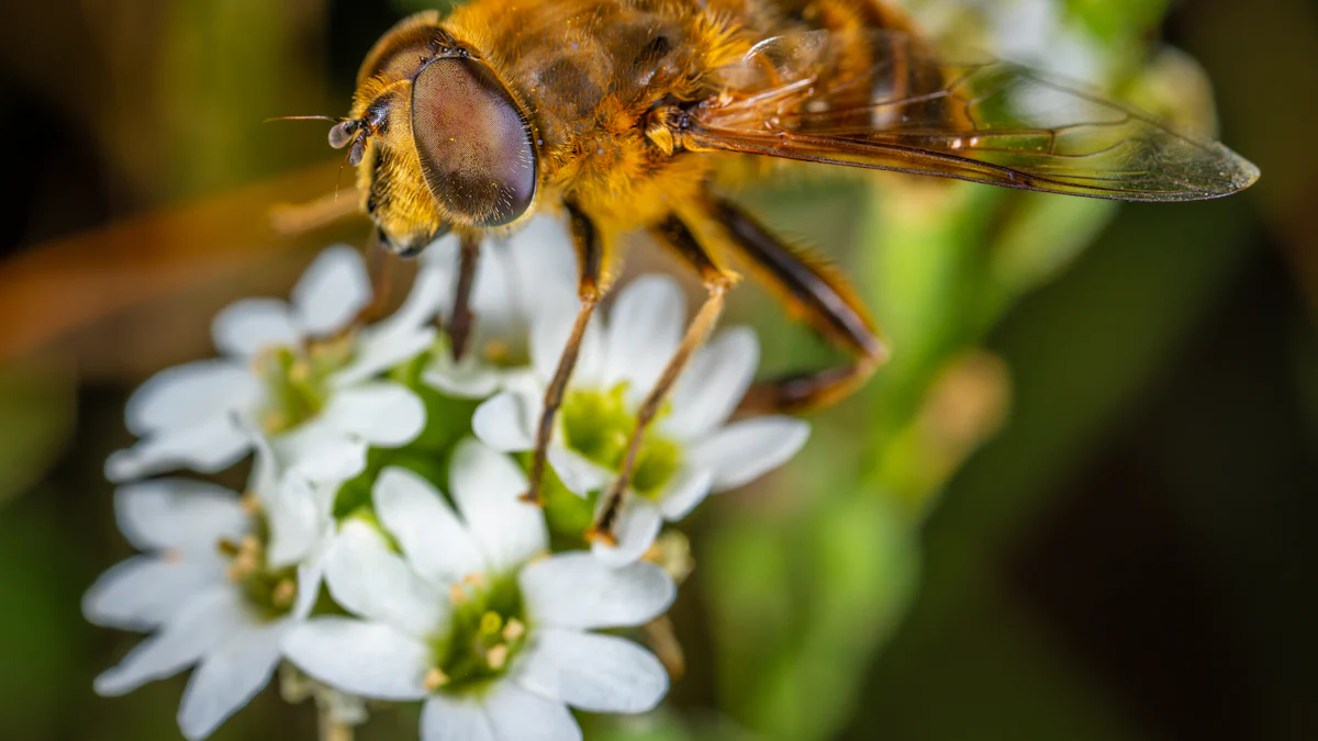 Best Practices for Feeding Venus Fly Traps