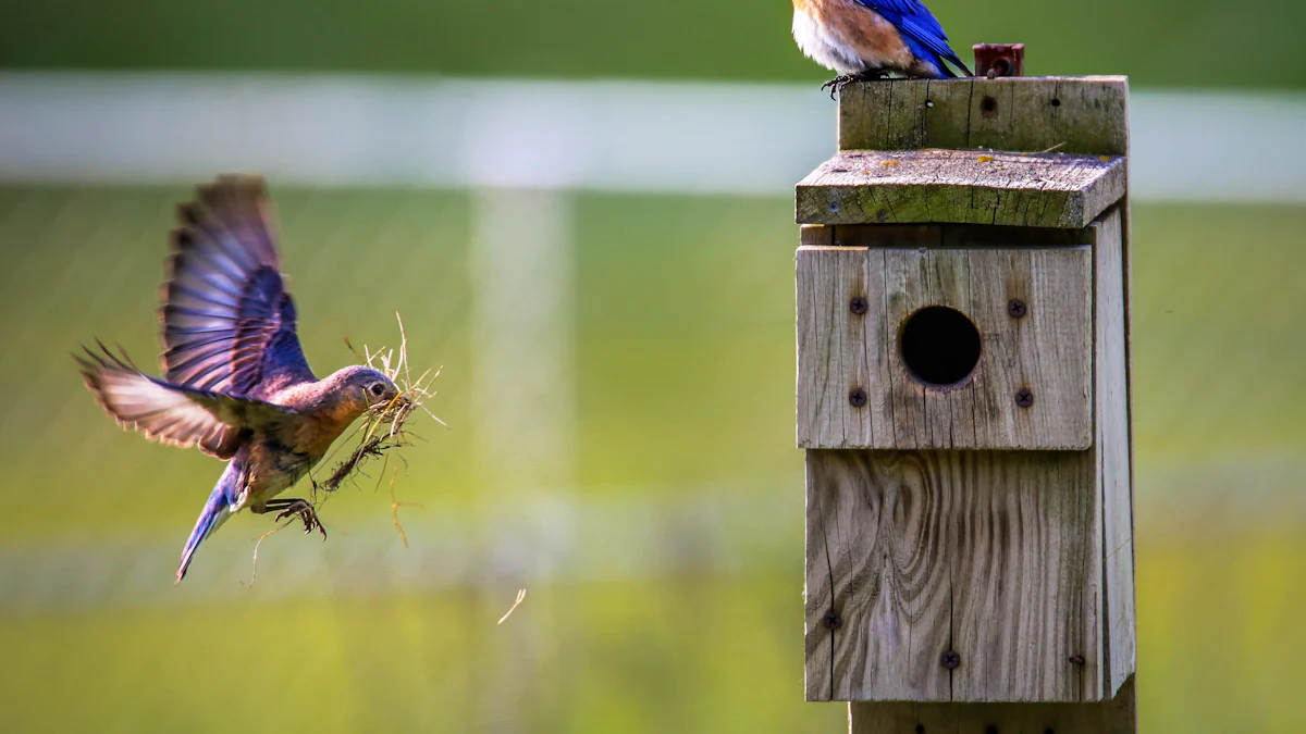 Top Tips for Buying Mealworms for Your Pets