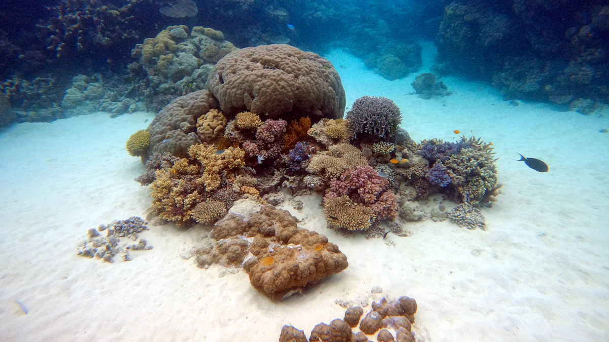 Guida Completa alla Sabbia per Acquario Marino