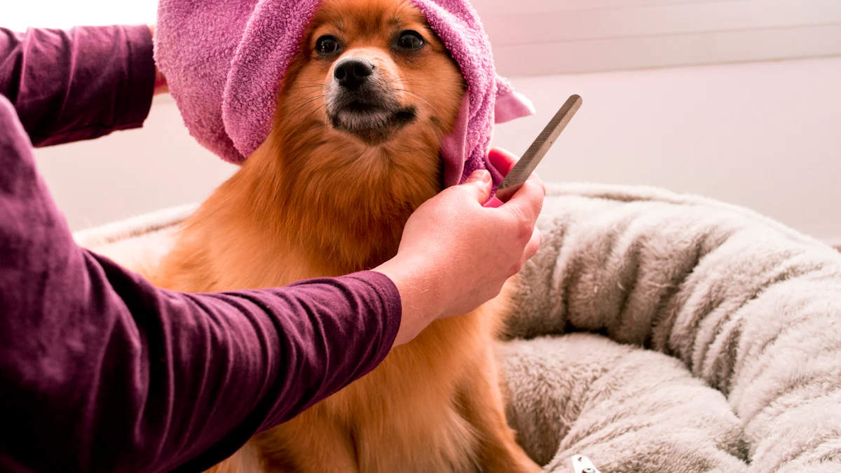 Udhëzuesi përfundimtar: Zgjedhja e kompletit të lodrave Perfect Pet Groomer