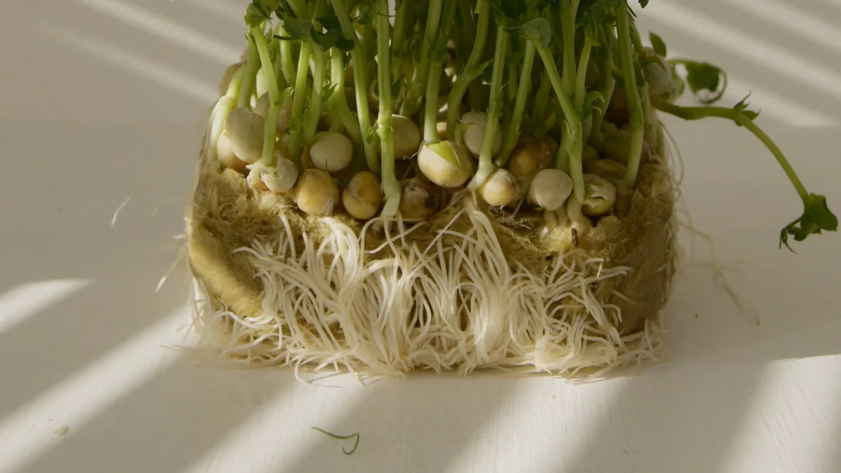 how to make a hydroponic garden