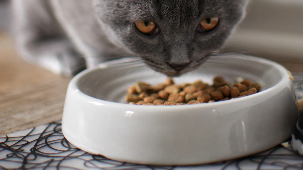 How to Safely Feed Cats Dried Mealworms