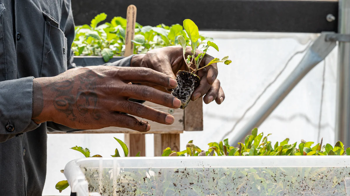 Top Hydroponic Growing Systems Reviewed for 2024