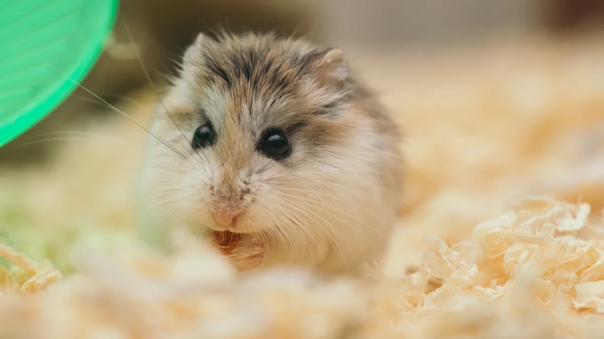 Nutritional Benefits of Dried Mealworms for Hamsters