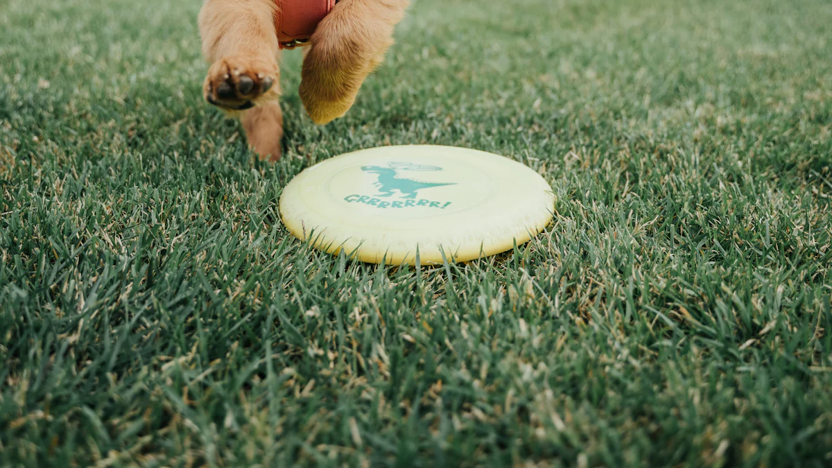 Why This Squeaky Frisbee Dog Toy Is a Must-Have