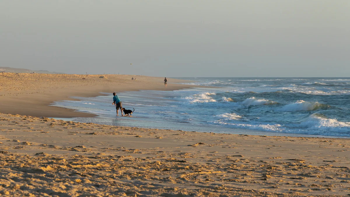 Yoga Canmore: Find Your Perfect Class Today