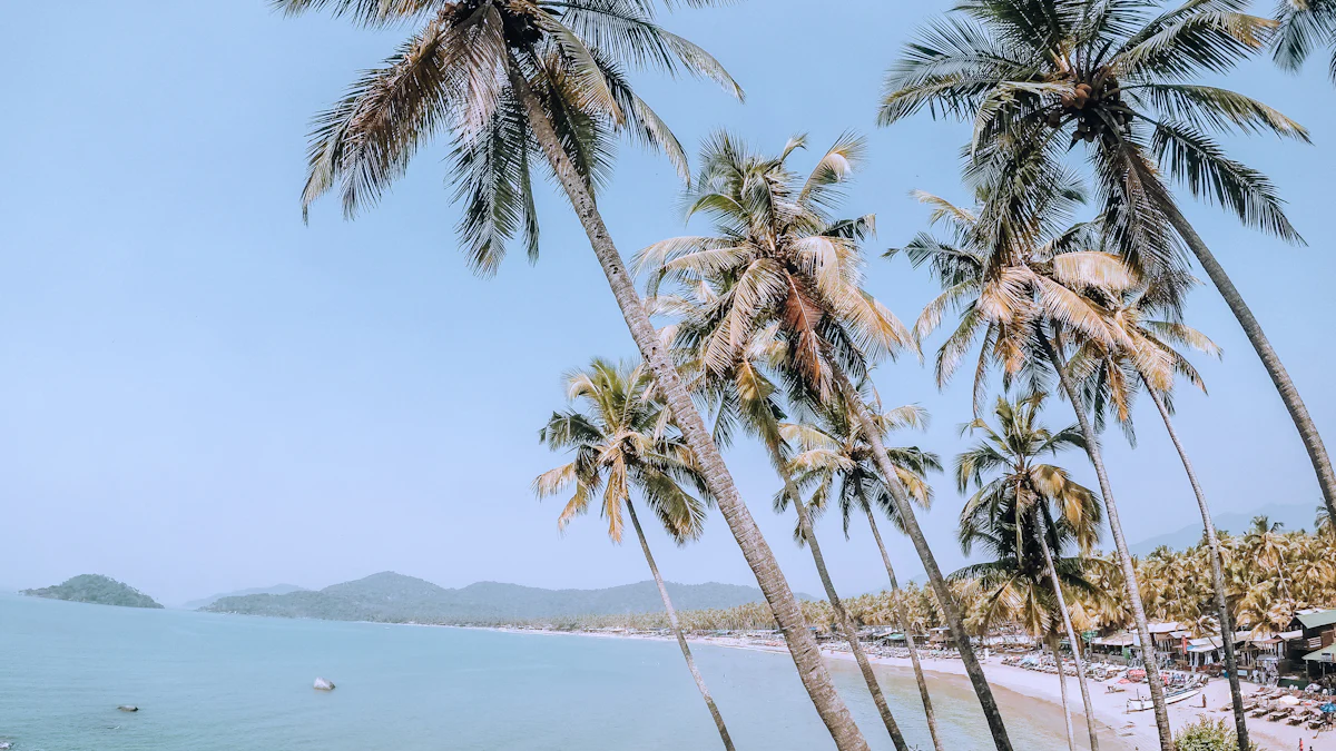 Planning Your Trip to Patnem Beach