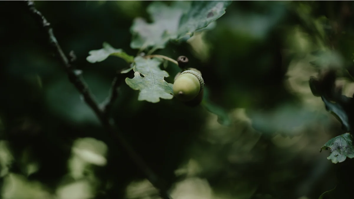 Jenis Pengukur Kelembapan