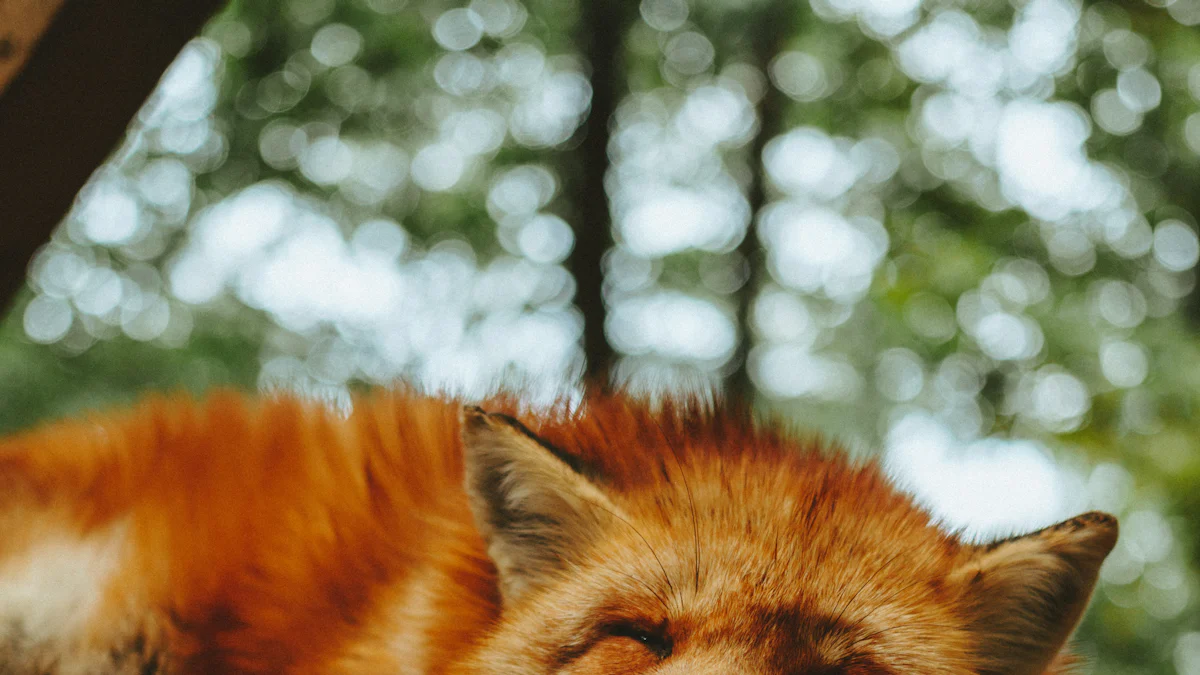 Guide Complet pour Trouver un Studio de Yoga à Nîmes