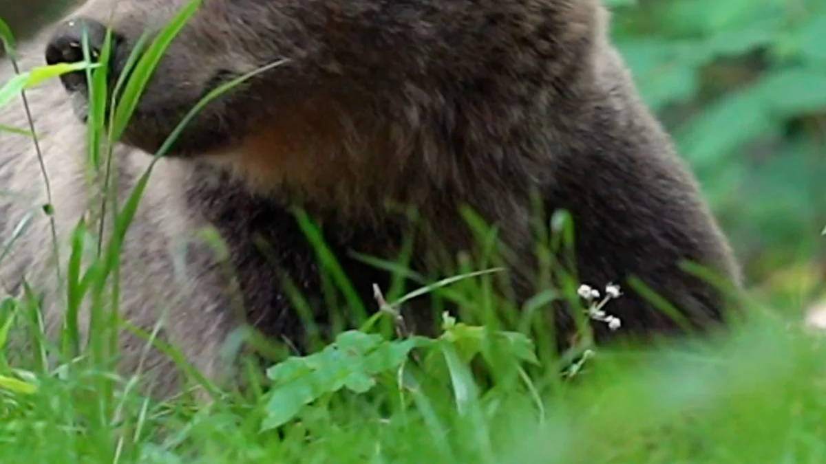 Technische Aspecten van de Film
