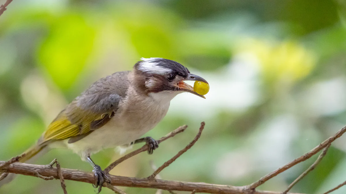 Who Eats Dried Mealworms in Your Yard