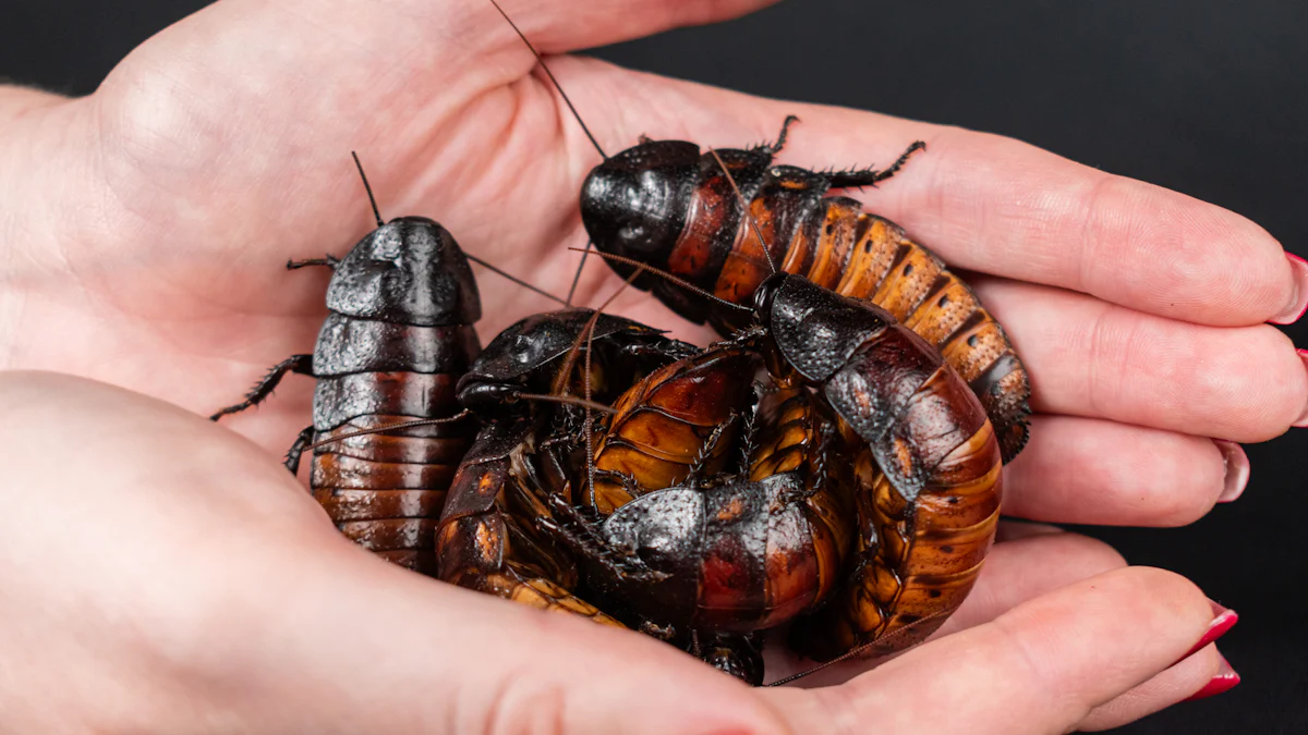 Unveiling the Nutritional Power of Dried Mealworms