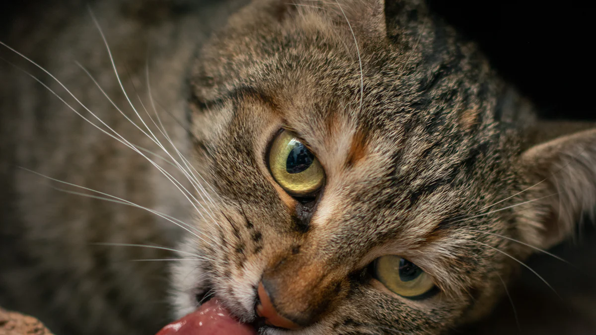 Can Cats Safely Eat Dried Mealworms