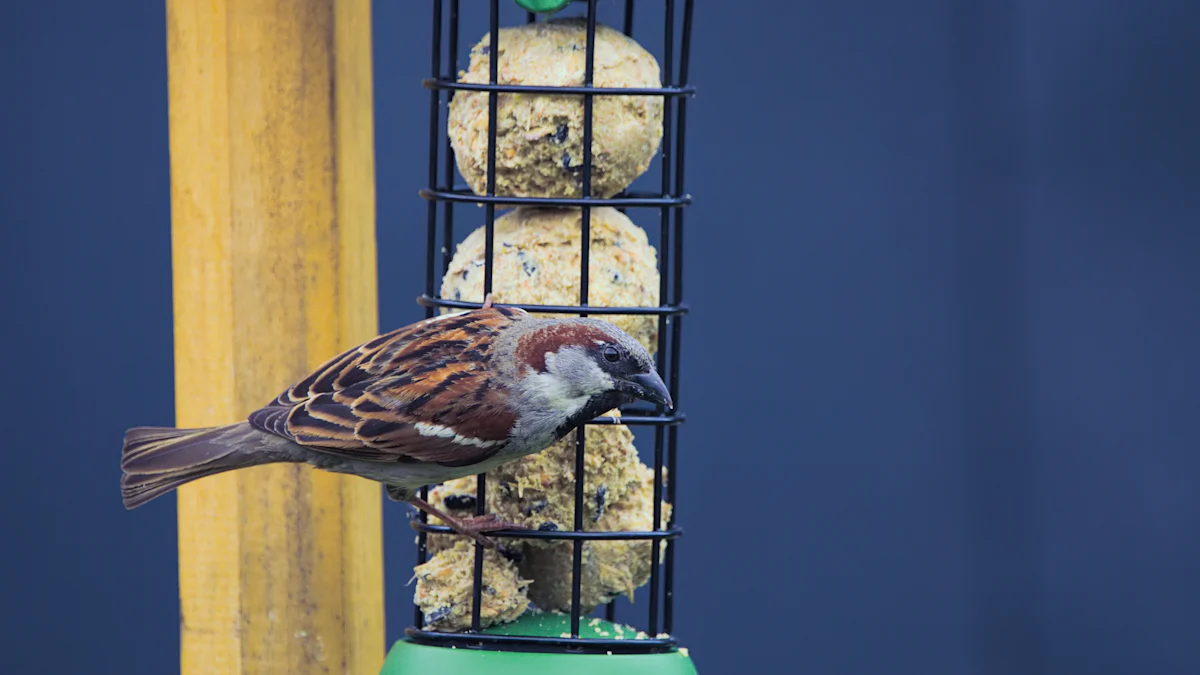 Best Ways to Offer Dried Mealworms