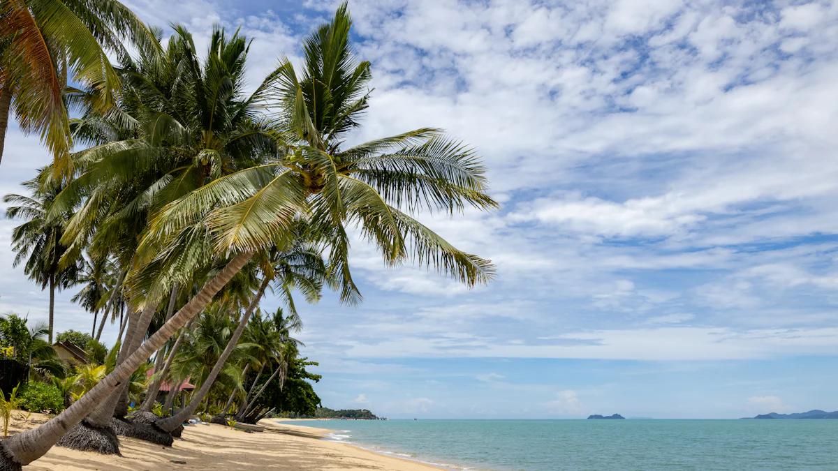 Top 12 Yoga Retreats in Tangalle for 2024