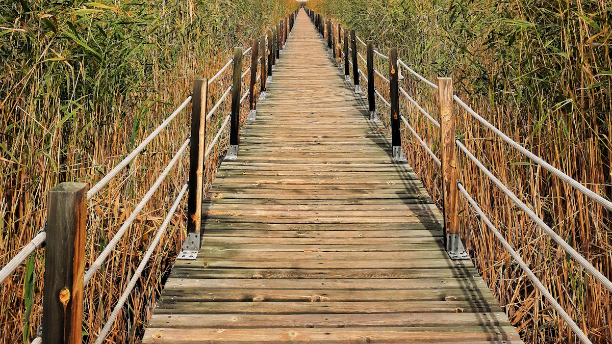 沿途风景与活动