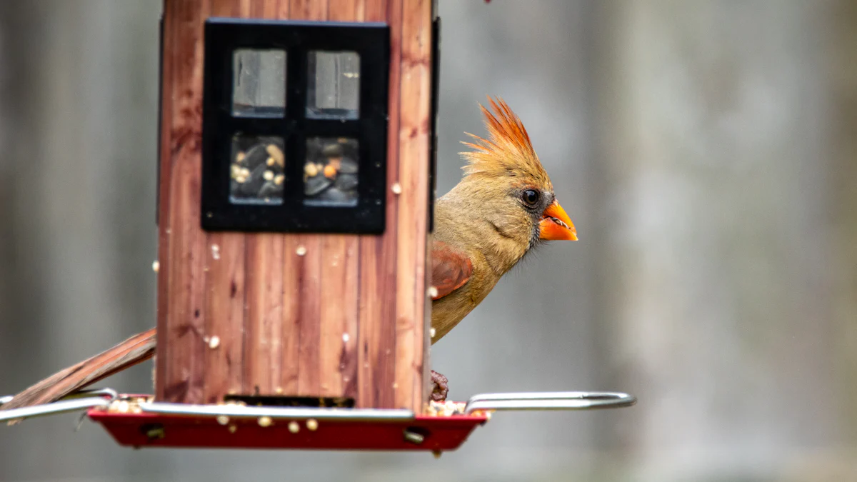 Feedbirds: Providing Food to Birds