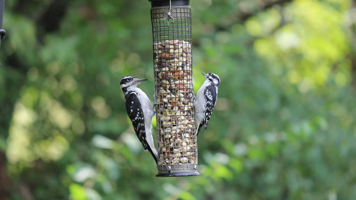 Top 5 Bird Food Dried Mealworm Brands Compared