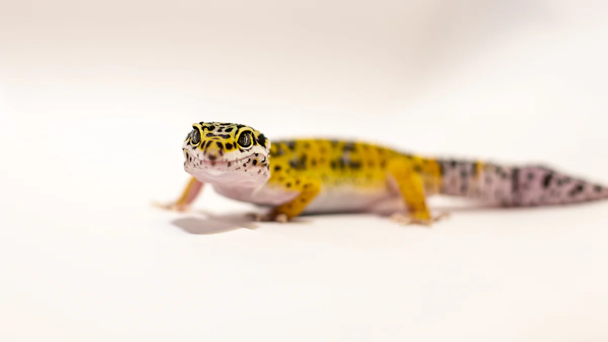 Additional Dietary Options for Leopard Geckos