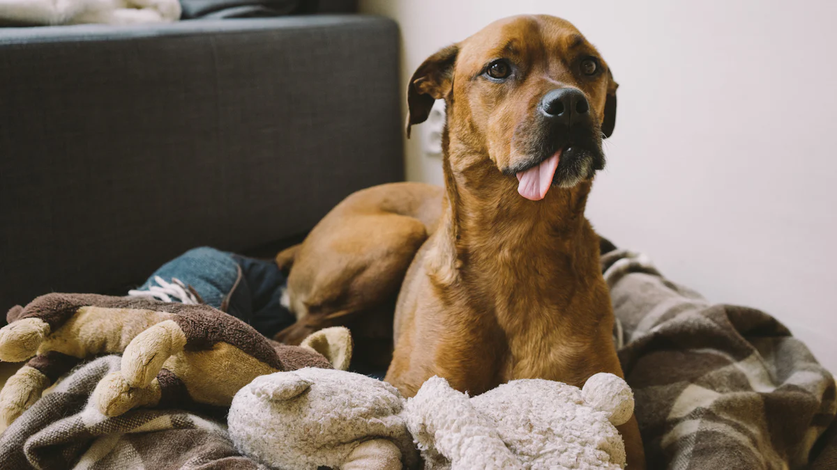 Produto 1: Kit de Quadros de Meditação Yoga Dogs