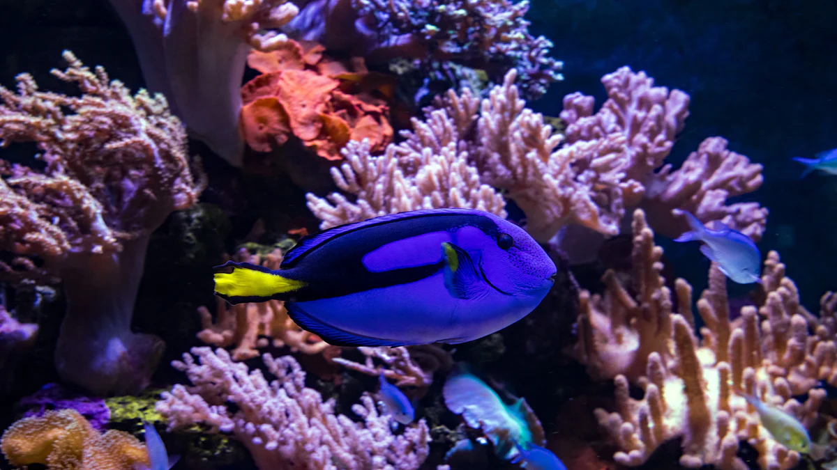 Sale per Acquario Marino: Quale Scegliere?