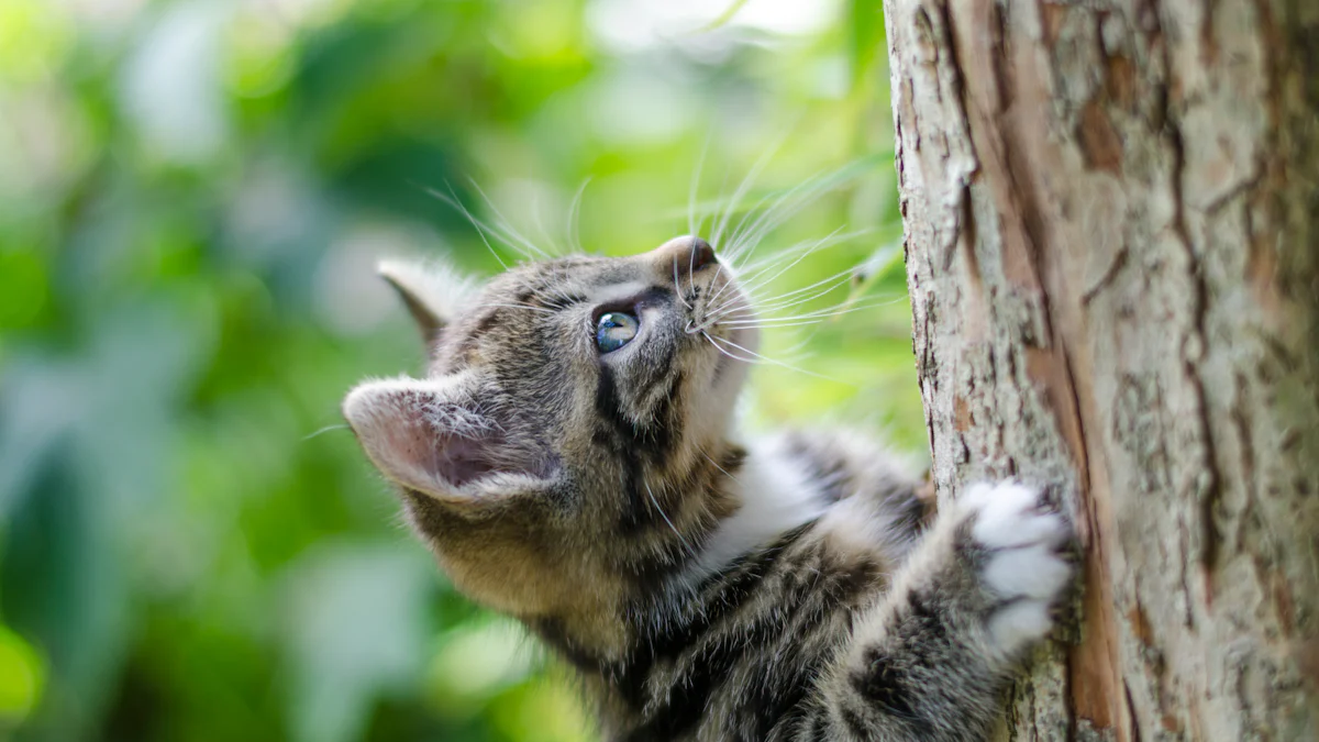 Xoguetes para escalar e rascar