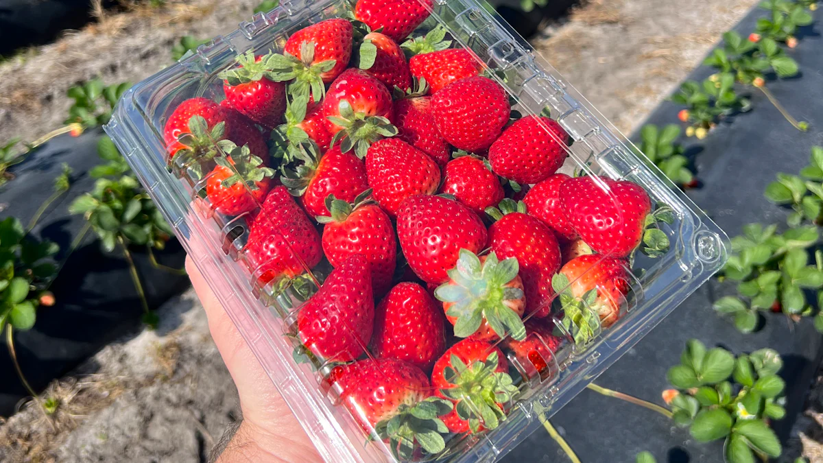 Fresas hidropónicas fáciles de cultivar con videotutoriales