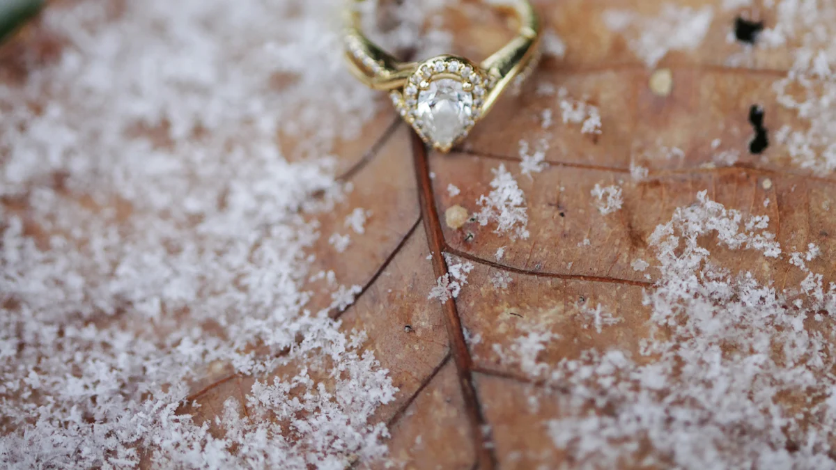 History and Evolution