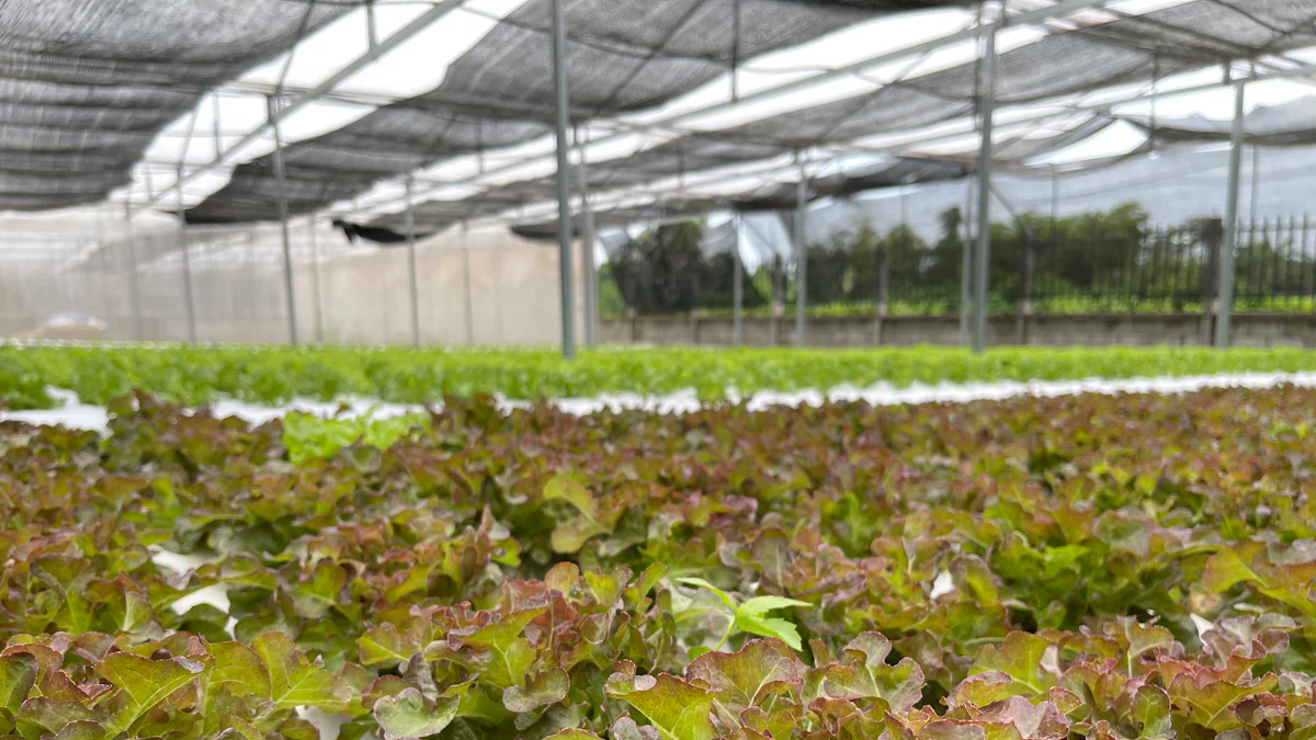 Aliments Pour Plantes Hydroponiques, 3 Ensembles De Nutriments