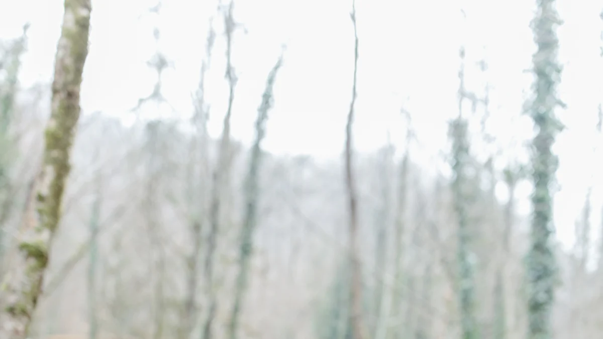 Πώς η Γιόγκα Ενισχύει την Ψυχική και Σωματική Υγεία