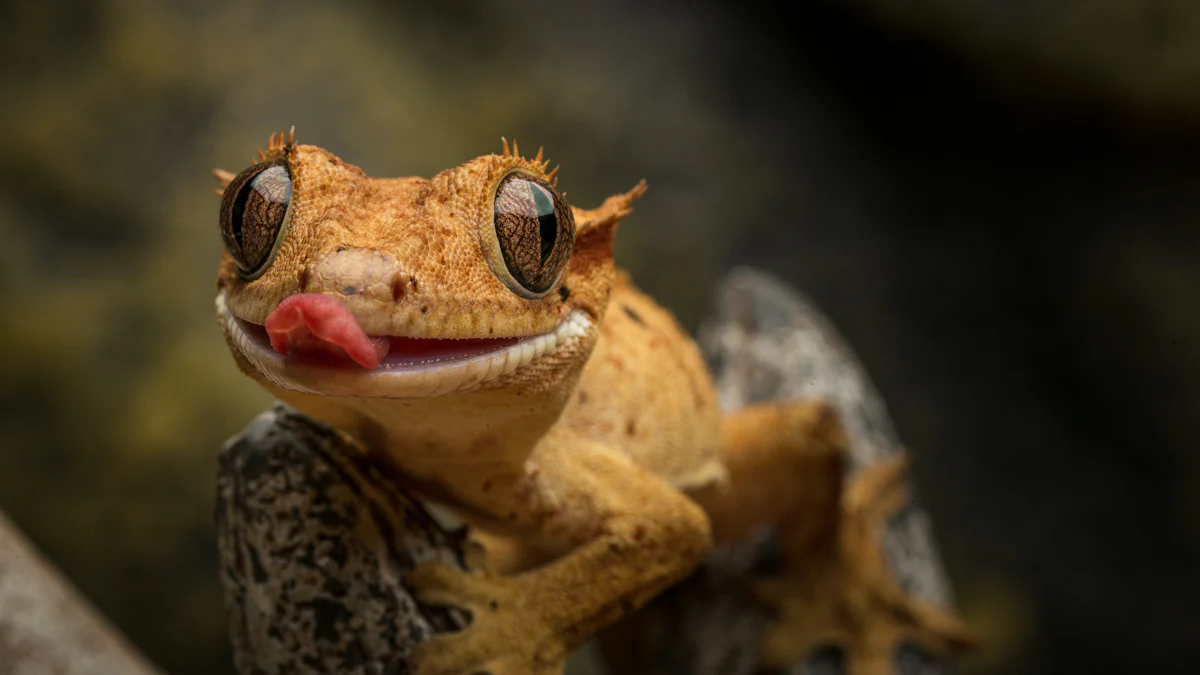 Can Crested Geckos Safely Eat Mealworms?