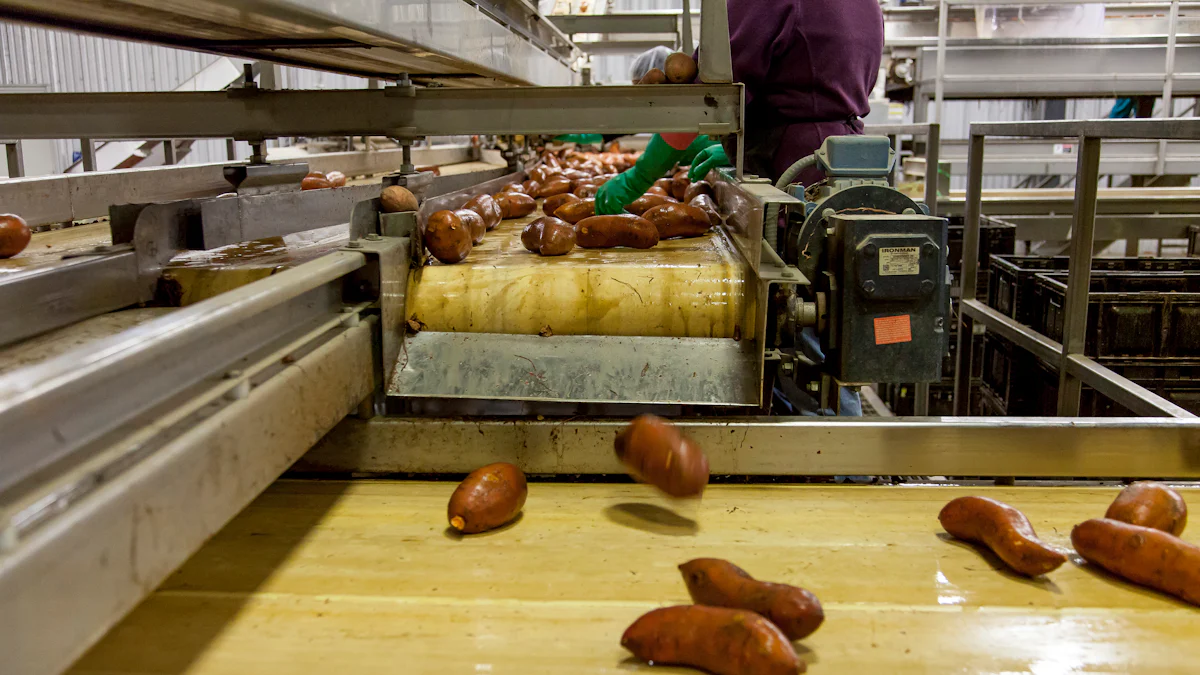 Improved Efficiency with Spiral Freezers