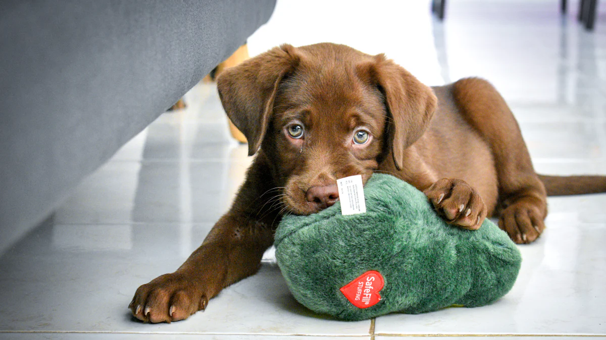 Ezagutu zure Labrador Retriever-erako txakur mastekatzeko jostailu onena