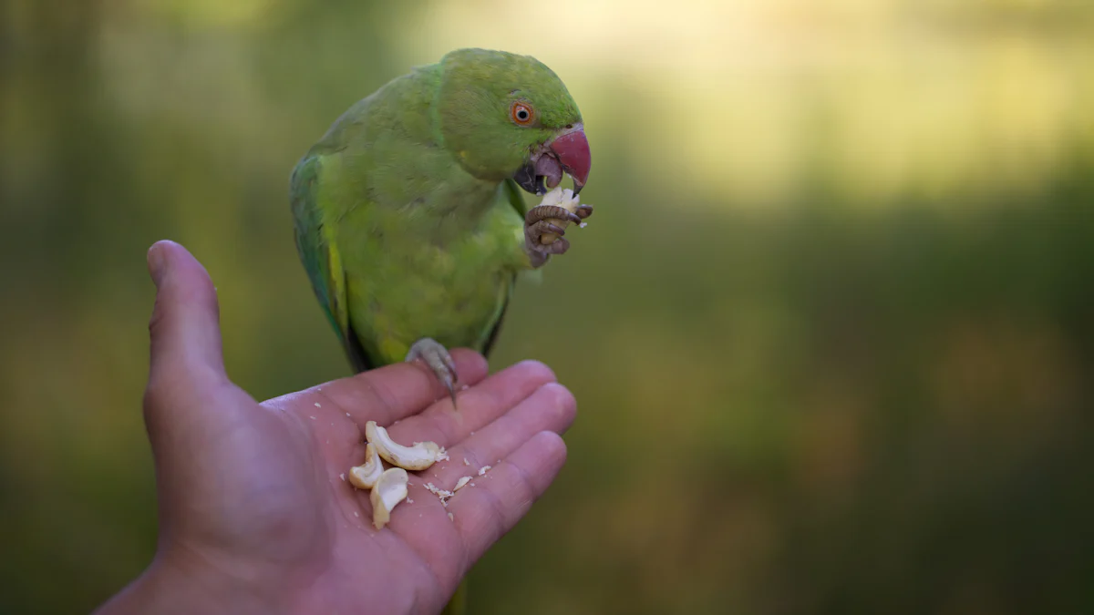 How to Safely Feed Mealworms to Parrotlets