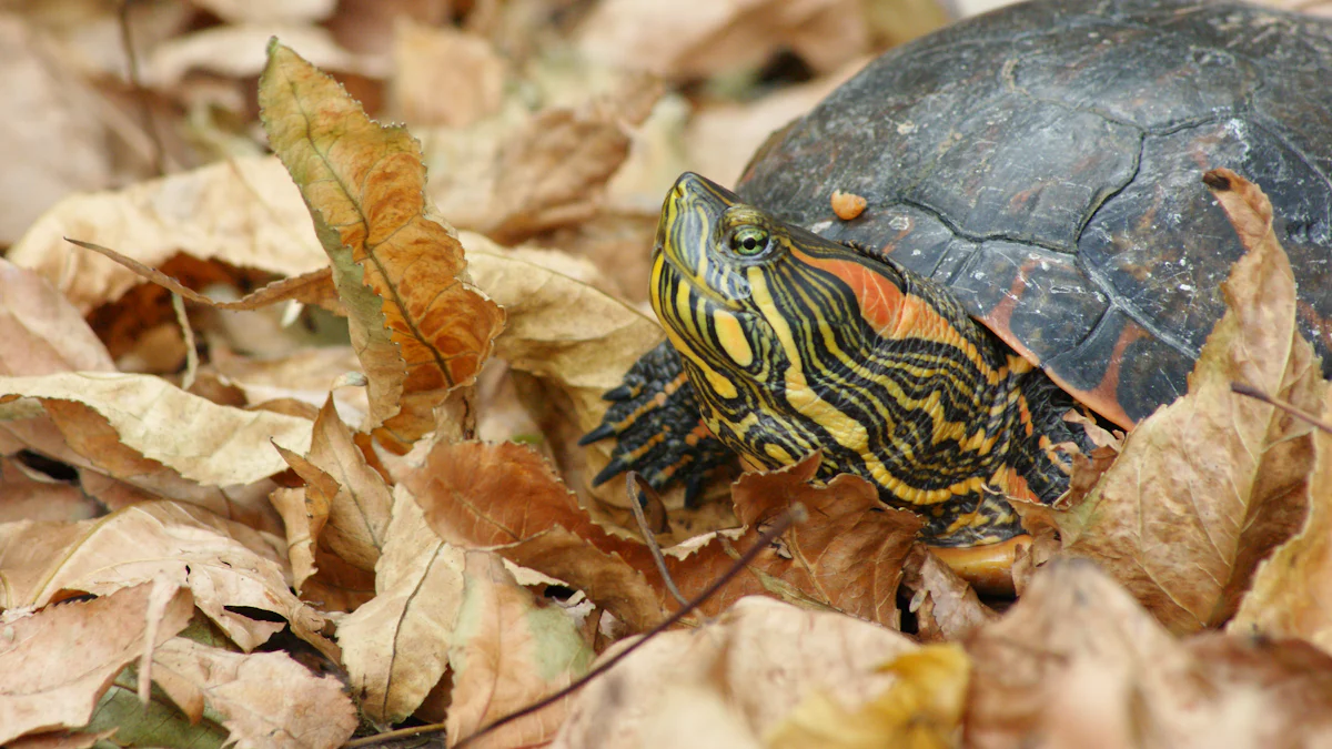 Nutritional Value of Turtles Dried Mealworms​