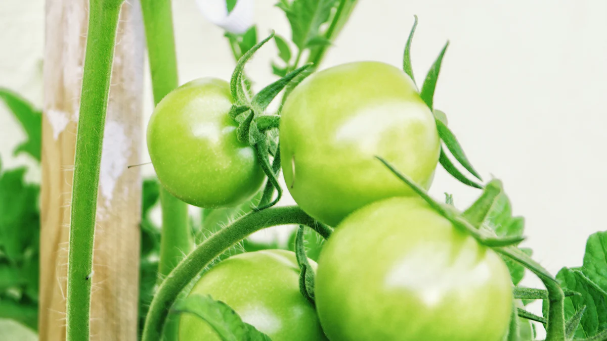 Green Manufacturing as a Pathway to Economic and Environmental Sustainability