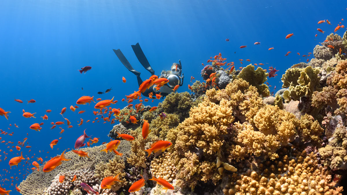 Tipi di Sale per Acquario Marino