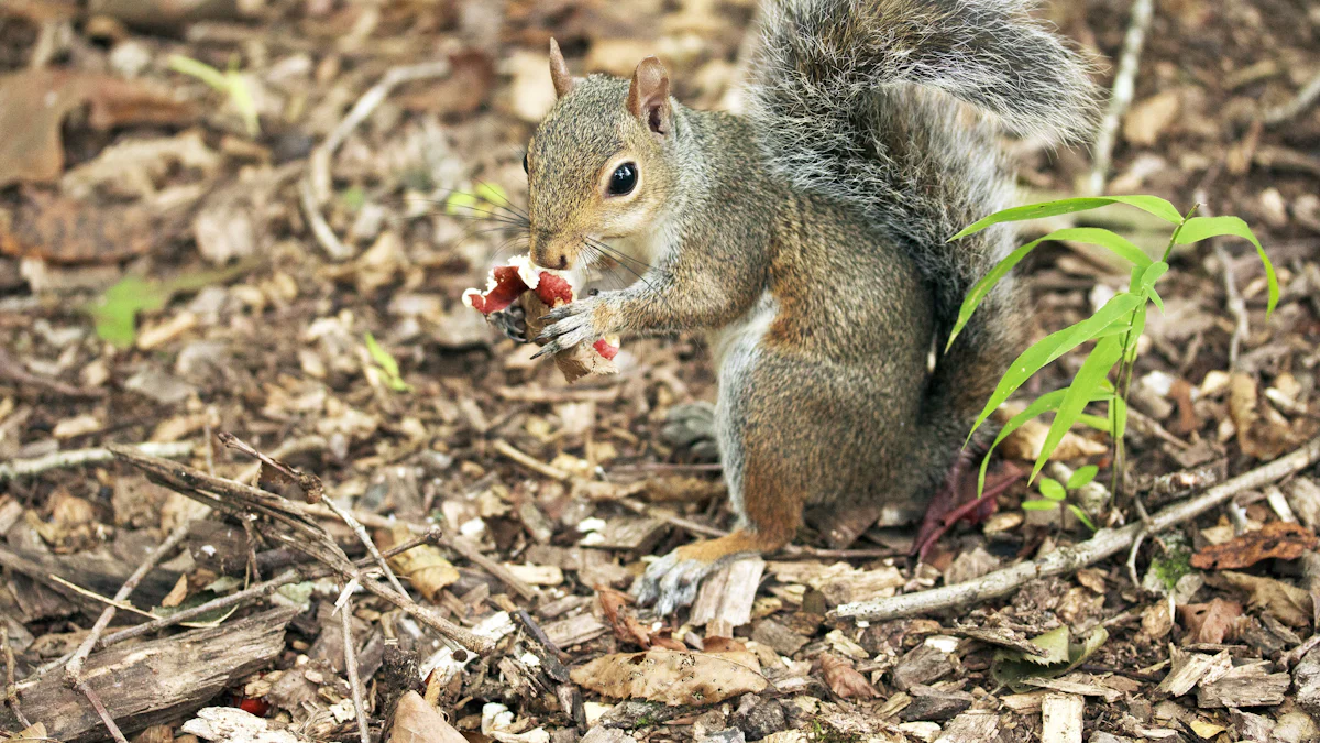 Do Squirrels Eat Dried Mealworms?