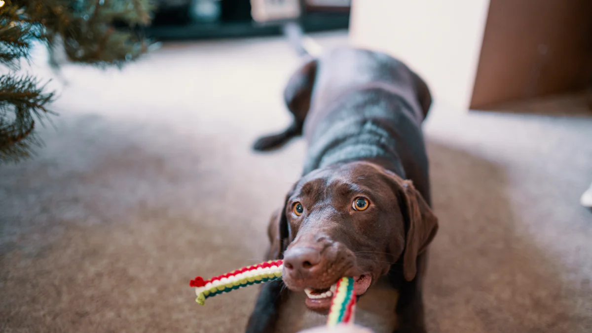 Foardielen fan in Dog Toy Rope mei Ball