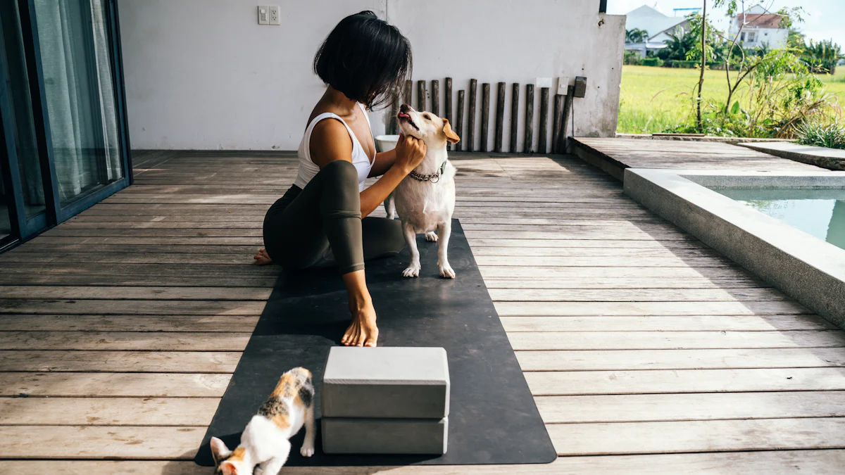 Top 3 produtos de yoga dogs incríveis