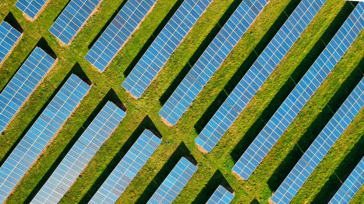 Why China Dominates the Solar Panel Industry