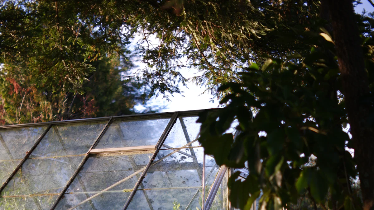 10种价格实惠的花园温室结构