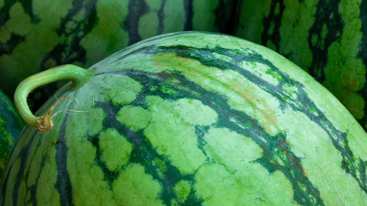 Grilled Watermelon Caprese Salad-Stovetop Grill Recipes
