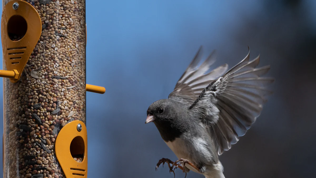 Nutritional Benefits of Dried Mealworm For Bird