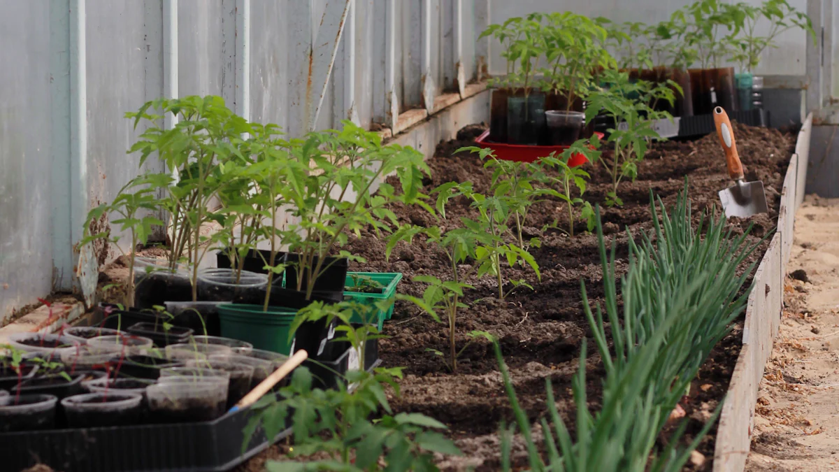 温室养护小贴士，助您植物健康生长