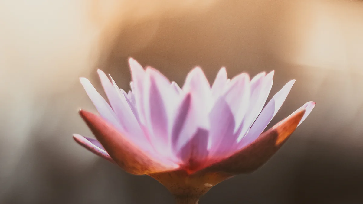 Einzigartige Merkmale der Blooming Lotus Yoga Schule