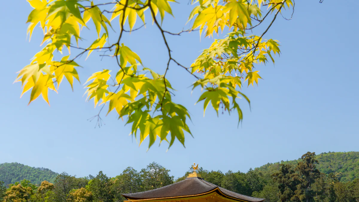 Studio 4: Zen Yoga Garage