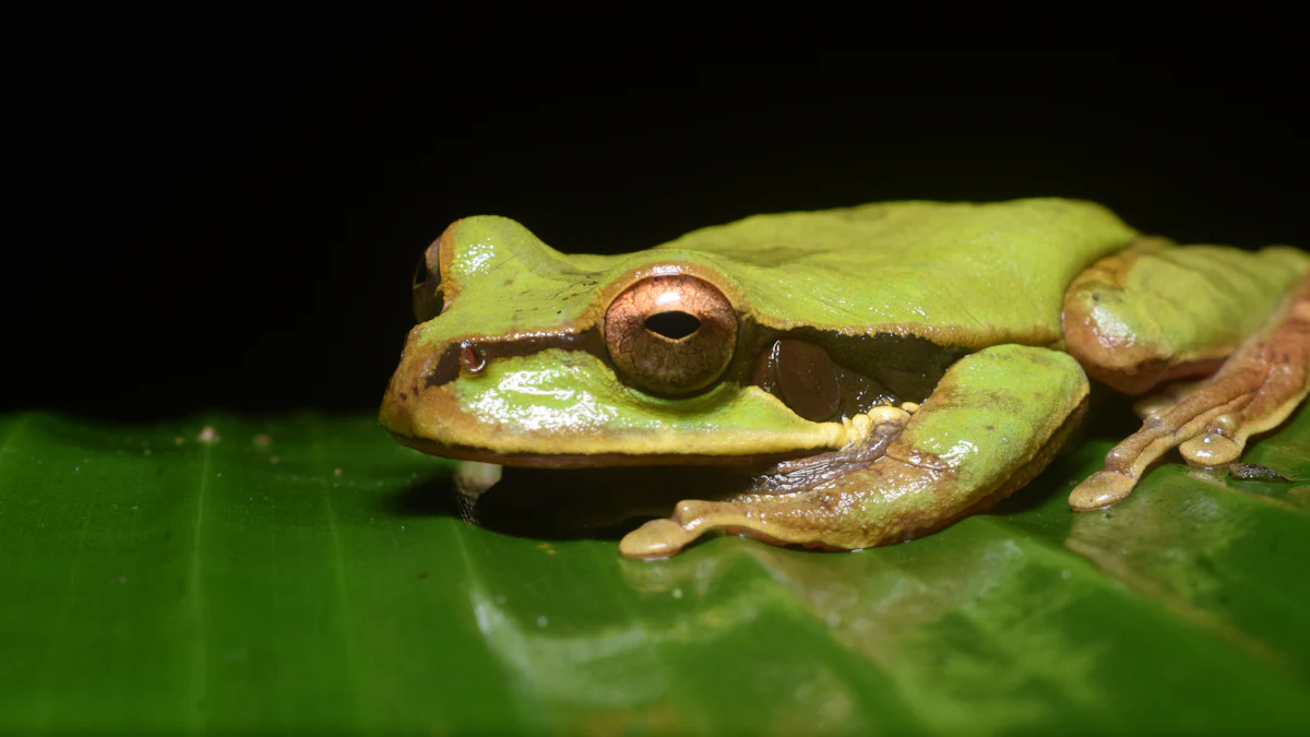 Hoe voer je de Frog Yogahouding Correct uit