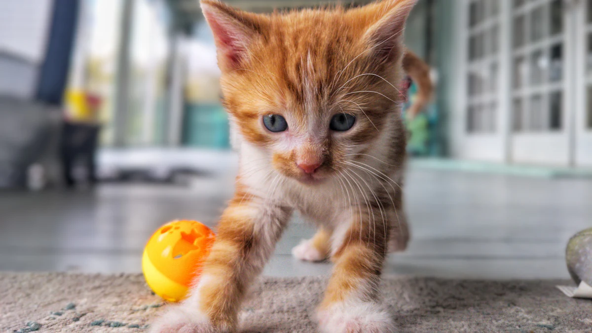 Enfeites de brinquedos sensoriais para gatos